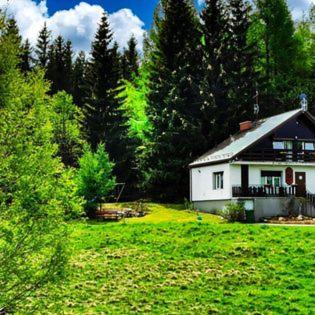 Apartament Koniecznie Roza *